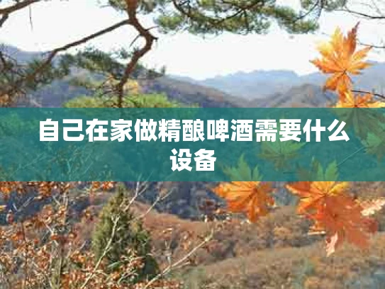 自己在家做精酿啤酒需要什么设备