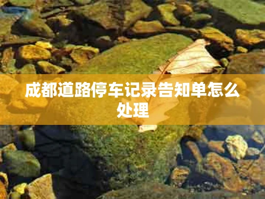 成都道路停车记录告知单怎么处理