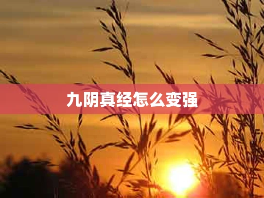 九阴真经怎么变强