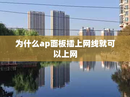 为什么ap面板插上网线就可以上网