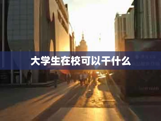 大学生在校可以干什么