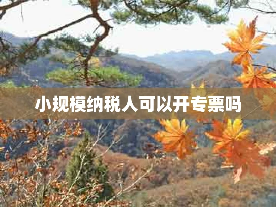 小规模纳税人可以开专票吗