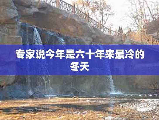 专家说今年是六十年来最冷的冬天