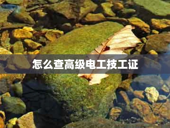 怎么查高级电工技工证