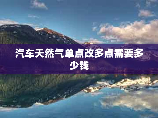 汽车天然气单点改多点需要多少钱