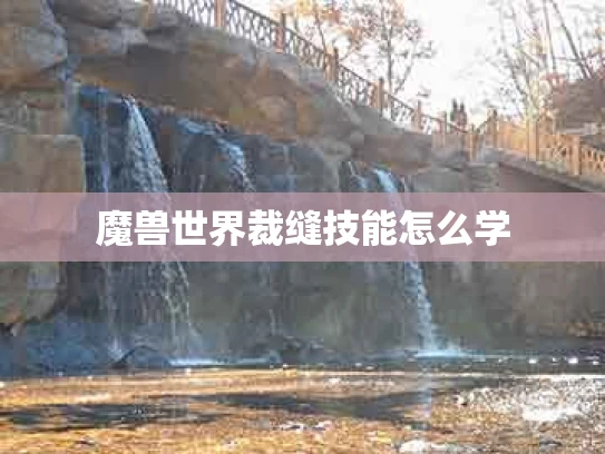 魔兽世界裁缝技能怎么学