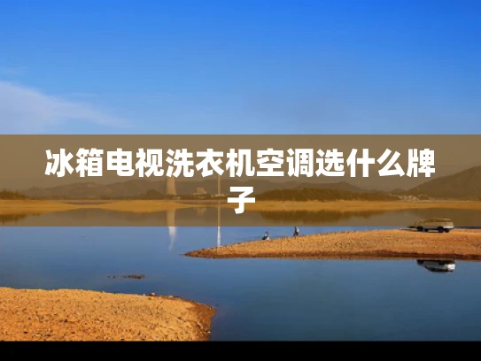 冰箱电视洗衣机空调选什么牌子