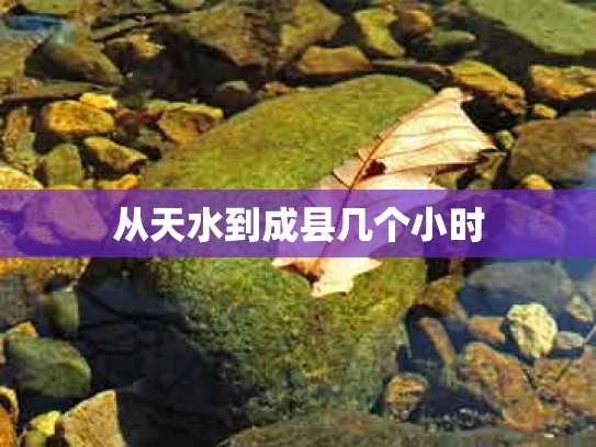 从天水到成县几个小时