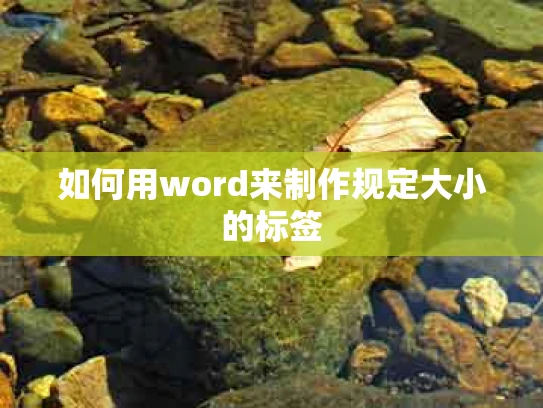 如何用word来制作规定大小的标签