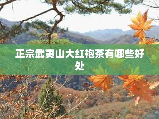 正宗武夷山大红袍茶有哪些好处