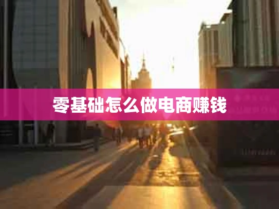 零基础怎么做电商赚钱