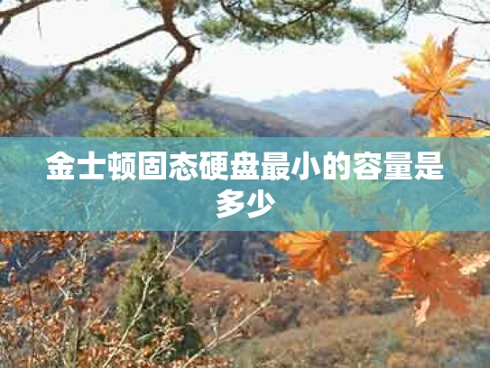 金士顿固态硬盘最小的容量是多少