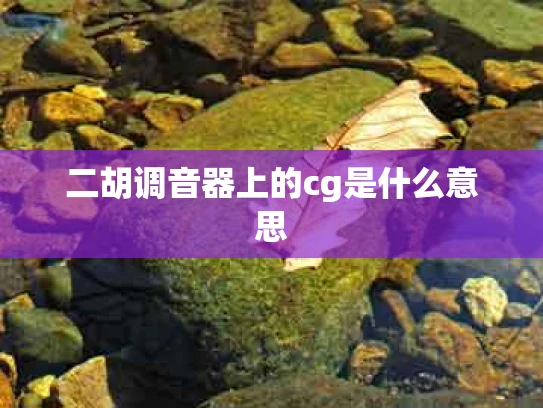 二胡调音器上的cg是什么意思