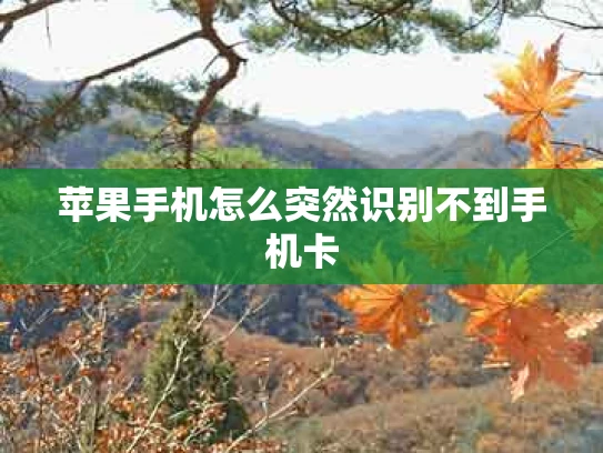 苹果手机怎么突然识别不到手机卡