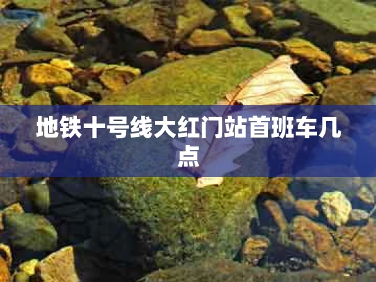 地铁十号线大红门站首班车几点