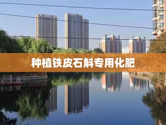 种植铁皮石斛专用化肥