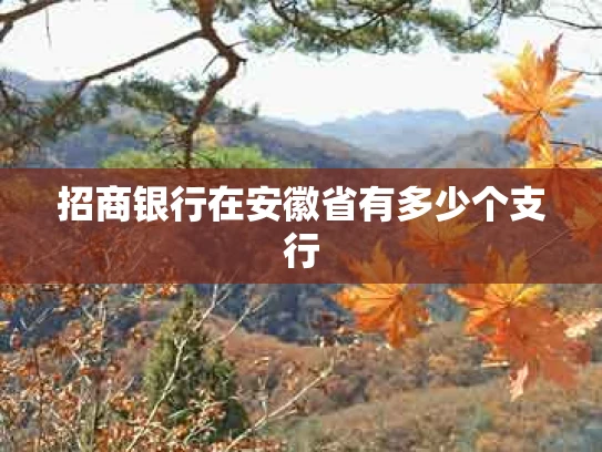 招商银行在安徽省有多少个支行