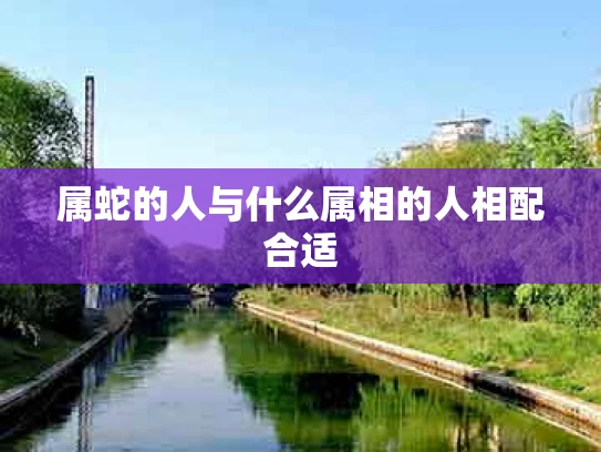 属蛇的人与什么属相的人相配合适