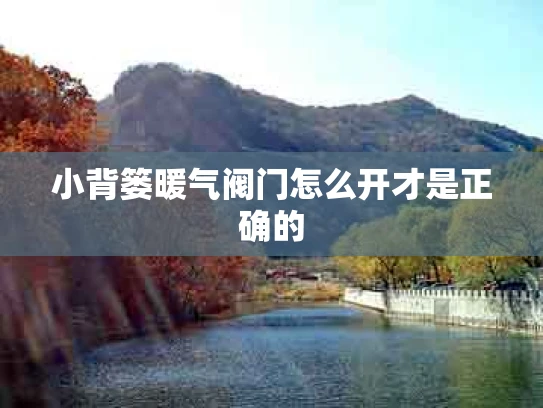 小背篓暖气阀门怎么开才是正确的