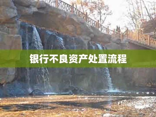 银行不良资产处置流程
