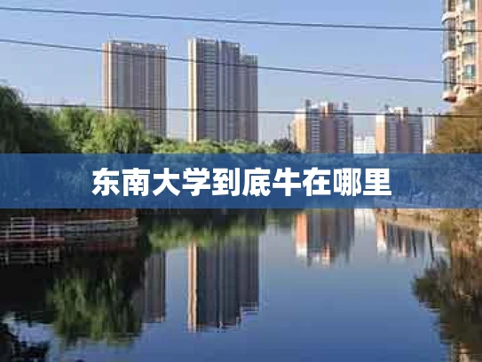 东南大学到底牛在哪里