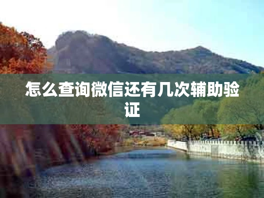 怎么查询微信还有几次辅助验证