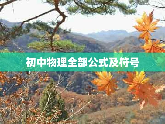 初中物理全部公式及符号