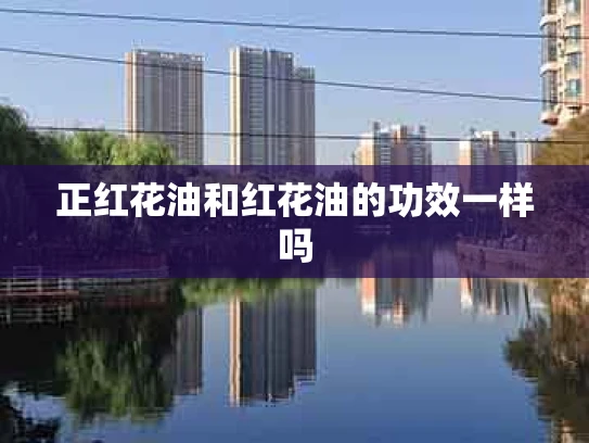 正红花油和红花油的功效一样吗