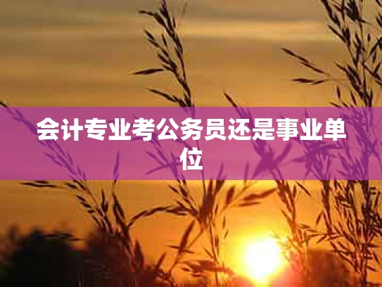 会计专业考公务员还是事业单位
