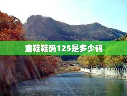 童鞋鞋码125是多少码
