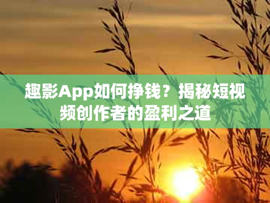 趣影App如何挣钱？揭秘短视频创作者的盈利之道