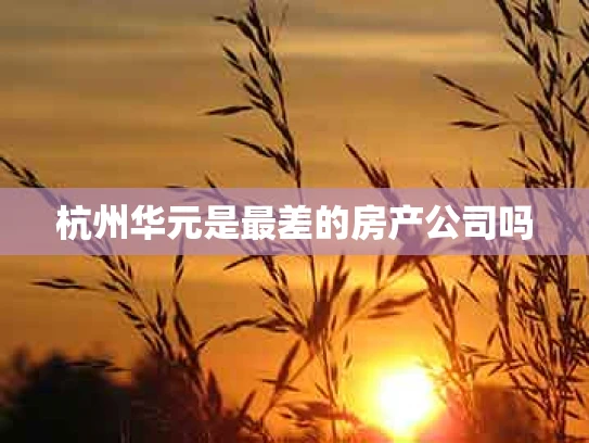 杭州华元是最差的房产公司吗