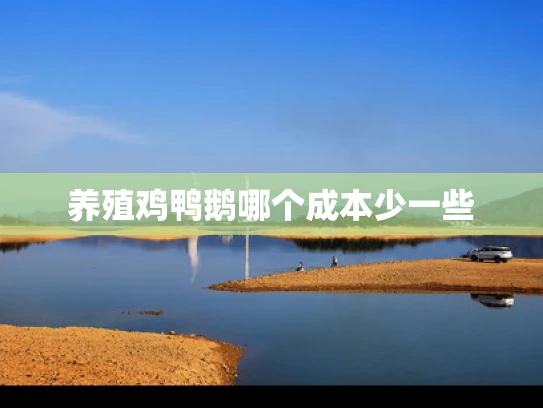 养殖鸡鸭鹅哪个成本少一些