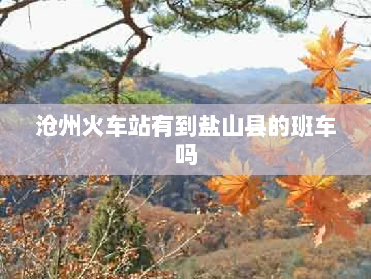 沧州火车站有到盐山县的班车吗