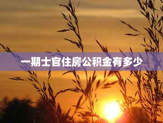 一期士官住房公积金有多少