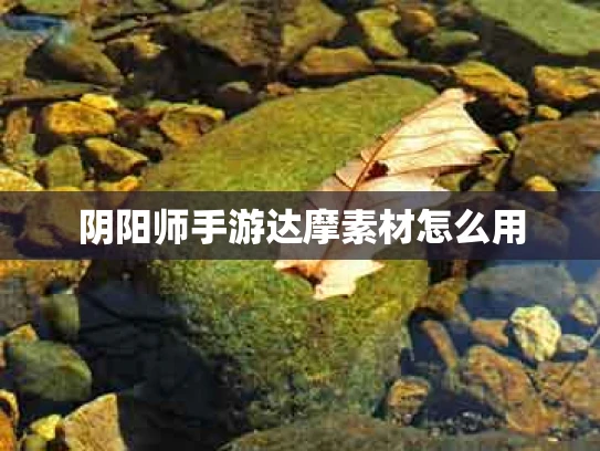 阴阳师手游达摩素材怎么用