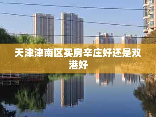天津津南区买房辛庄好还是双港好