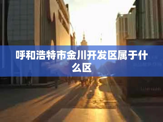 呼和浩特市金川开发区属于什么区