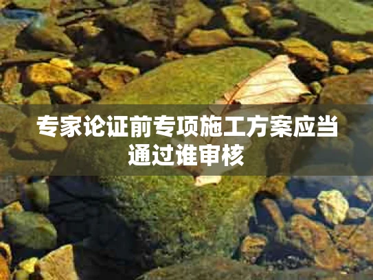 专家论证前专项施工方案应当通过谁审核