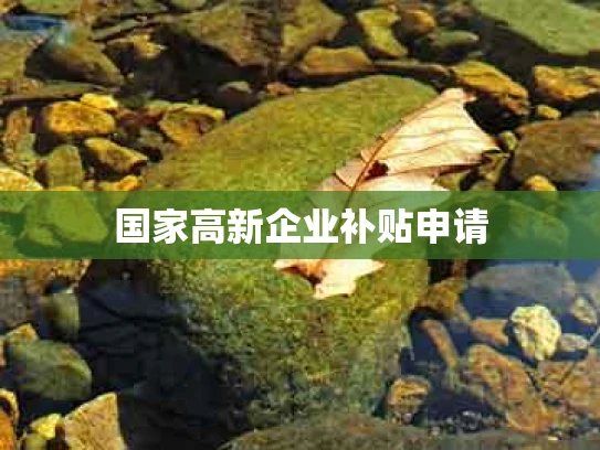 国家高新企业补贴申请
