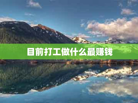目前打工做什么最赚钱