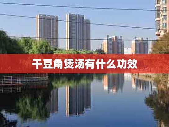 干豆角煲汤有什么功效