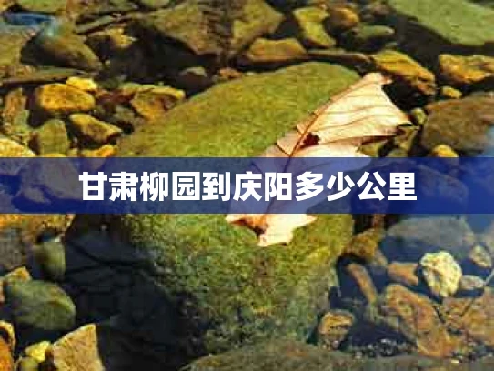 甘肃柳园到庆阳多少公里