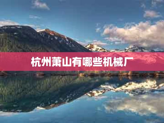 杭州萧山有哪些机械厂