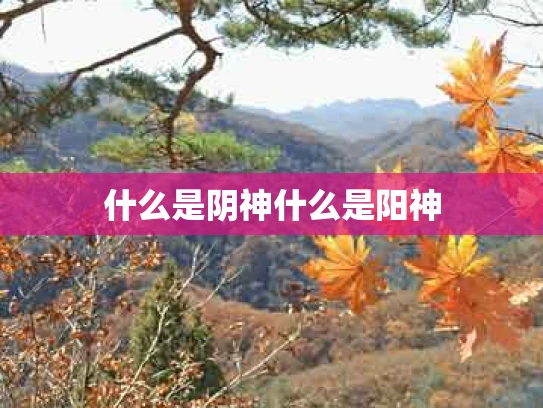 什么是阴神什么是阳神