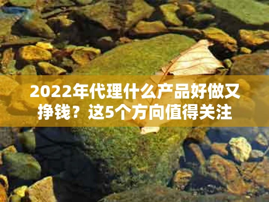2022年代理什么产品好做又挣钱？这5个方向值得关注