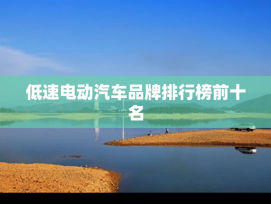 低速电动汽车品牌排行榜前十名
