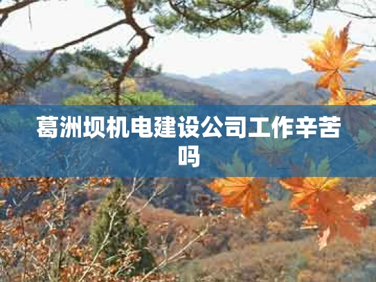 葛洲坝机电建设公司工作辛苦吗