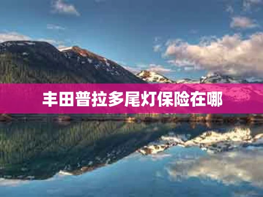 丰田普拉多尾灯保险在哪