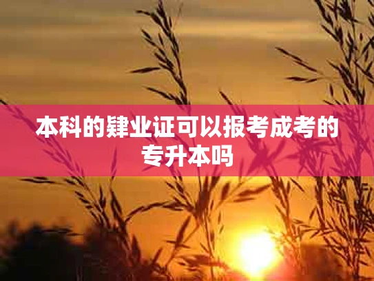 本科的肄业证可以报考成考的专升本吗